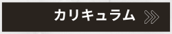 カリキュラム